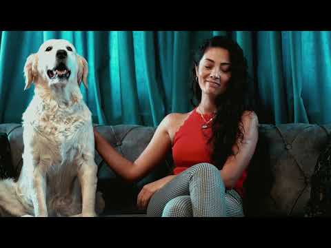 tan tasci nasil sevecegim official video bedava indir beles indir