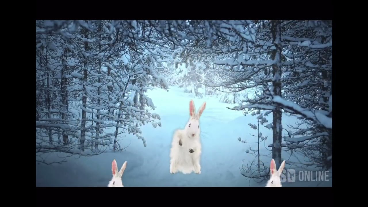 Dawns Rhewi Sioni Rhew