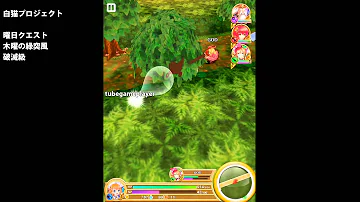 白猫プロジェクト 曜日 白猫プロジェクト 曜日