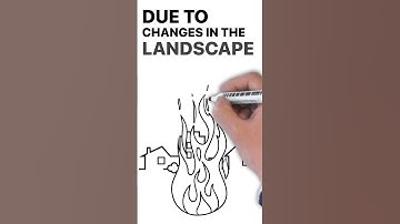 FEMA R6: Flash Flooding After Wildfires