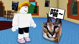 我養了一隻名子叫Floppa的「奇怪貓咪」!【Roblox 機械方塊】