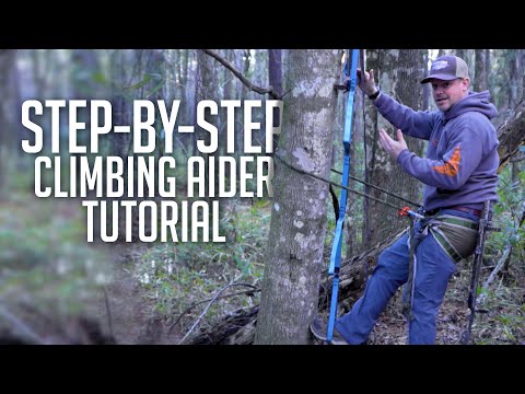 How to Climb a Tree using AIDERS