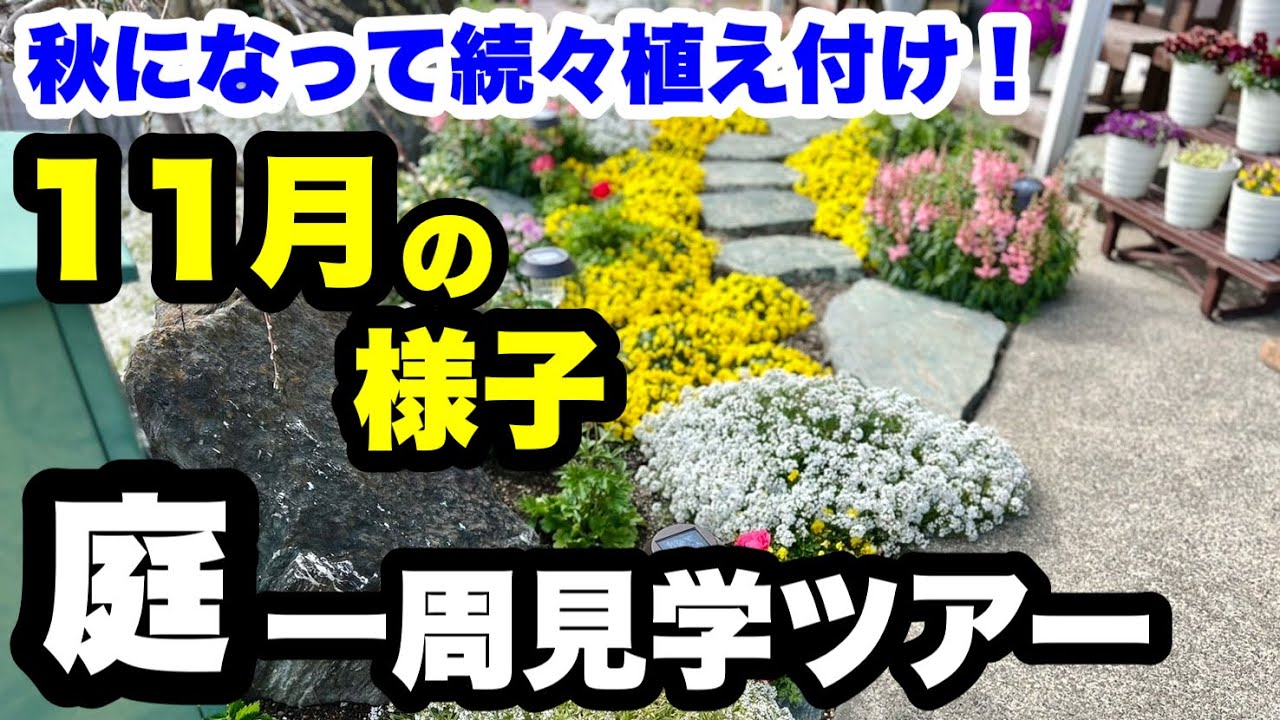 ◇11月【秋のガーデンツアー】新しい園芸と秋の草花🌱 - YouTube