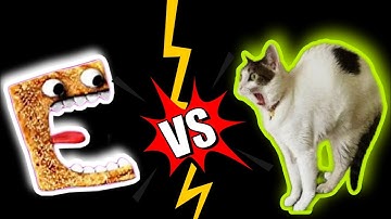 Cinnamon Toast Crunch vs Cats  Sound Variations