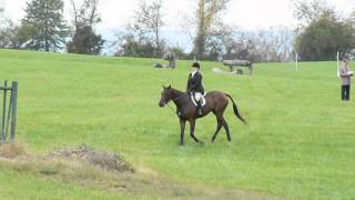 Field Hunter Championship 2012 Heather Heider, Ownertrainer Van Vixen Farm