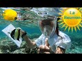 Vlog17  les fonds marins de la runion