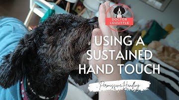 Using a Sustained Hand Touch for Cooperative Care