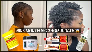 HOW I APPLY DOO GRO FOR MAX GROWTH  9 MONTH BIG CHOP W/ PICS| DOO GRO+WILD GROWTH +HAIR FERTILIZER