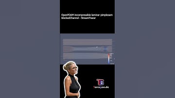 OpenFOAM CFD Tutorial case: #blockedChannel  - #streamtracer #pressure #incompressible #laminarflow