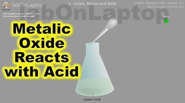 NCERT Class 10th - Activity 2.7 | Acids, Bases & Salts | Metal Oxide & Acid | labOnLaptop