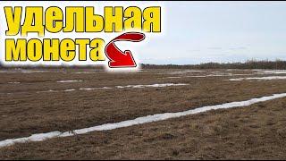 Простое поле удивило находкой 15 века/Такого я точно не ожидал!Коп старины с металлоискателем!