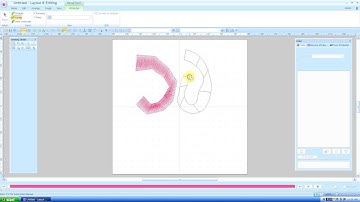 Brother PE Design Next: Manual Punch 1 of 3 (Lesson 20)