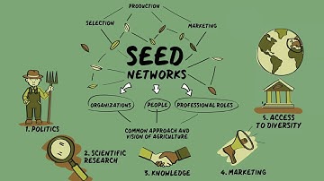 Dynaversity video scribing #5: Seed networks