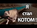Я стал КОТОМ ! ( Ultimate Cat Simulator )