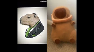 They made a edit of my capybara #animals #funny #memes