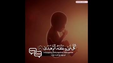 حالات واتس اب /الشيخ رعد الكردي / سورة طه