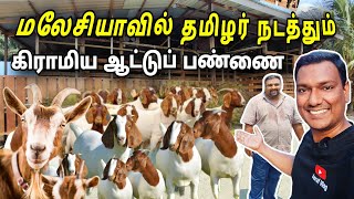 மலேசிய ஆட்டுப் பண்ணை  Goat Farm In Malaysia | Maha Berjaya Frozen Foods Sdn Bhd | ASRAF VLOG