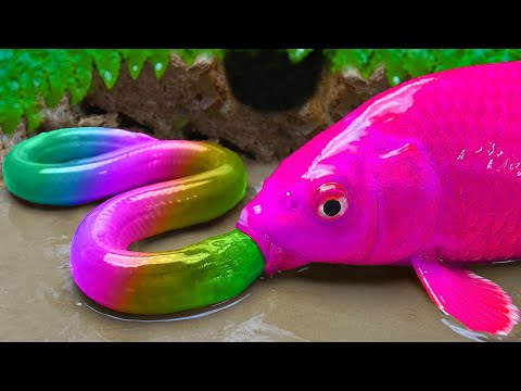 वीडियो: साल्टवाटर गोबी मछली