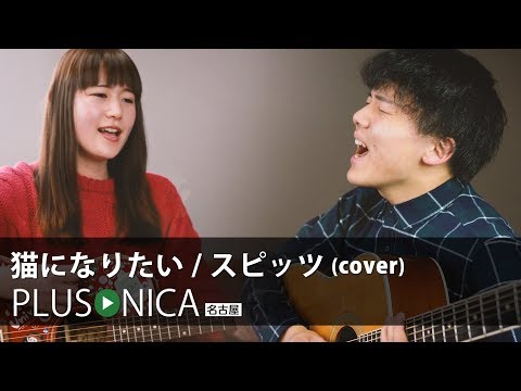 猫になりたい / スピッツ (cover)