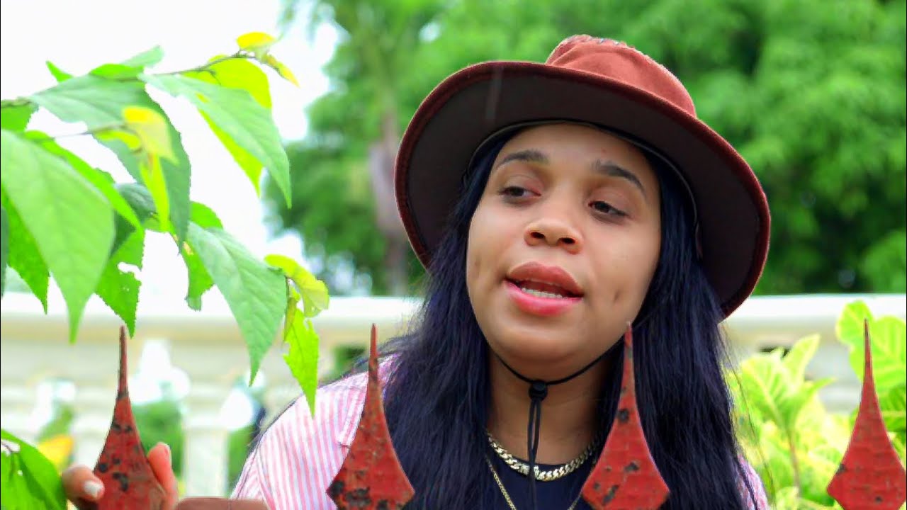 Pide comida a su vecina y está hizo esto 😭😡 