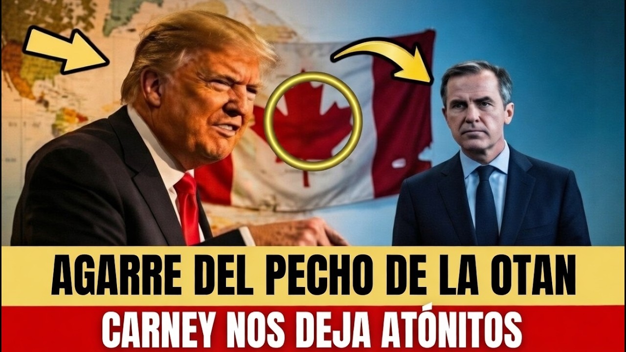 HACE CINCO MINUTOS: Canadá exige acceso al fondo de guerra de la OTAN — Washington queda en shock
