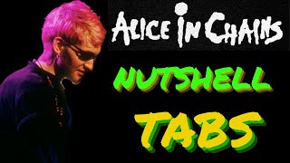 Video thumbnail of "Alice In Chains Nutshell Fingerstyle TABS!!!"