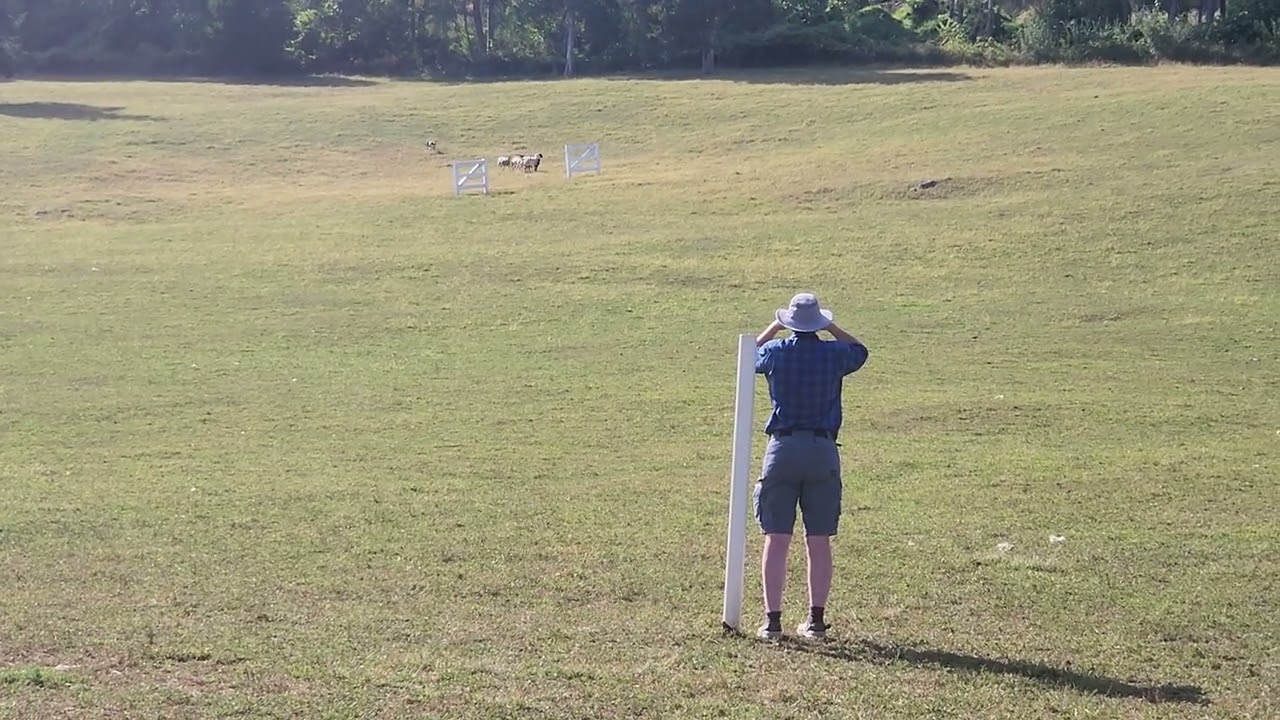 2025 NEBCA Novice Finals - Ranch3 - TrustyJoe 