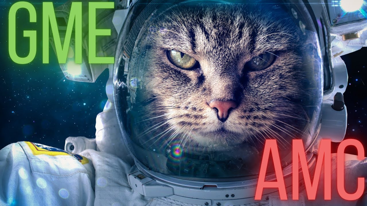 AMC and GME Gamma Squeeze Live Coverage. Happening NOW!