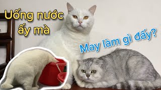 Một đêm thức trắng cùng May và July | maly.gaugau