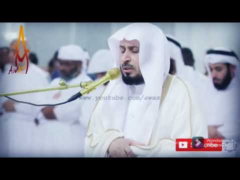 Saad Al Ghamidi beautiful recitation, Surah Al-Araf