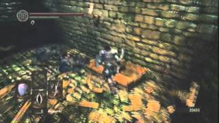 Dark Souls Humanity Farming