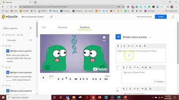 EdPuzzle: Questions Feature for Editing an Interactive Video