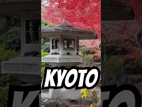 到大山崎站吃午餐跟賞楓。 #日本 #日本之旅 #大阪 #travel #京都觀光 #日本自由行 #紅葉