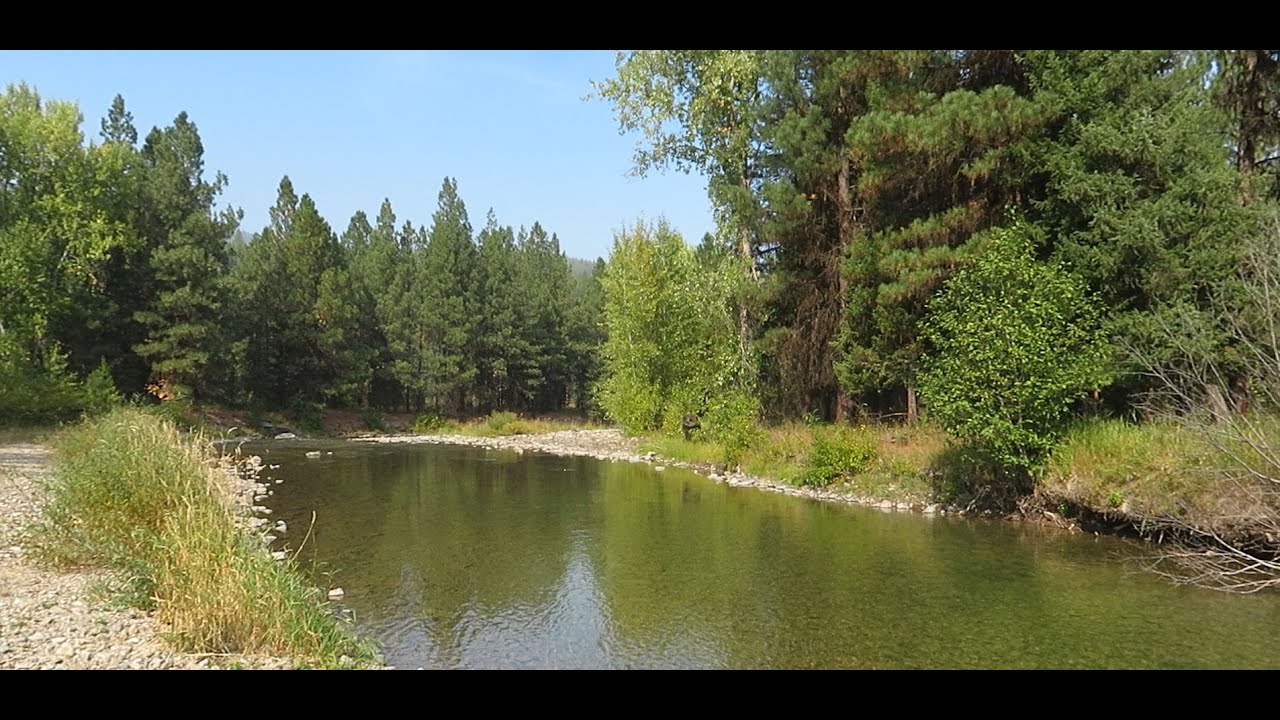 Perfect Free Camping Spot in Montana: River, Nature & Chill!