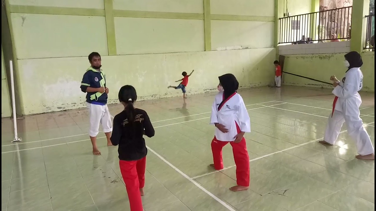 Taekwondo Poomsae Sidekick / Yopchagi training