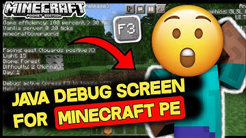 How to activate java debug screen in Minecraft pe. Java Debug screen addon for mcpe download.