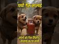 Puppy Gas Supply #cute #cutebaby #panjabisong #jiskeaanesemukammalhogayithizindagisong #funny #news