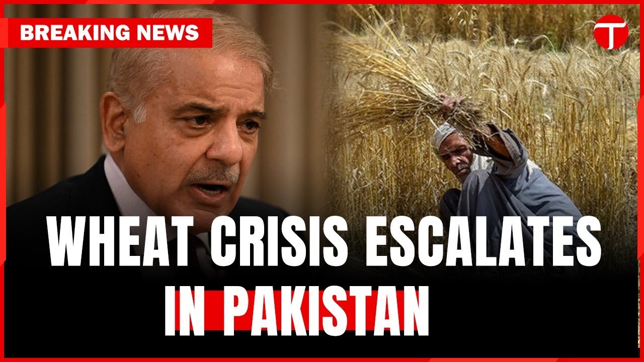 Wheat Crisis Sparks Protests Nationwide Amid Committee's Investigation ...
