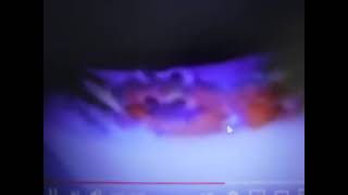 DSCF1241