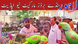 Lahore sunday birds market New update #lahorientertainmentchannel #parrot #birds #lovebirds #cat 