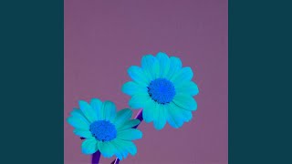 Mellow Electric and Acoustic Piano - Vibe for Decompressing World