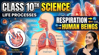LIFE PROCESS CLASS10/NUTRITION IN ANIMAL/CBSE PYQs/CLASS10BIOLOGY LESSON1/NCERT COVER#CLASS10SCIENCE