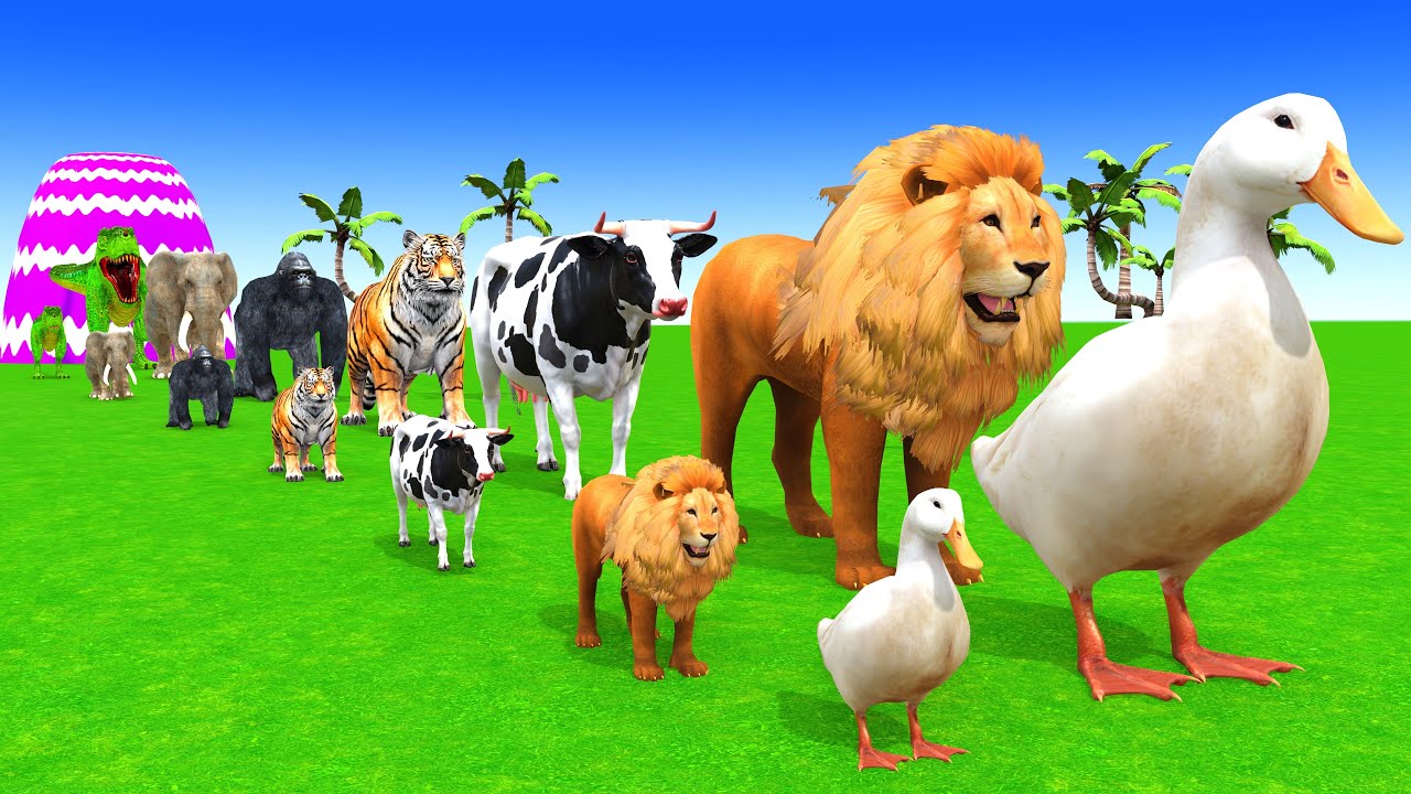 Long Slide Game with Cow Elephant Gorilla Hippopotamus Tiger 3d Animal Game Funny 3d Animals