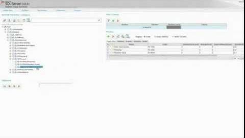 Master Data Services