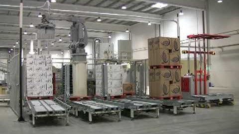 OCME - Robot palletising island handling 4 different codes
