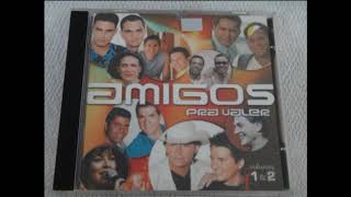 O Menino da Porteira - CD Amigos pra Valer