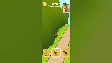 Animal Shifting Transform Run Level 7