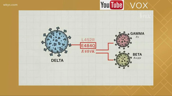 Why the Delta Variant of COVID-19 is a concern