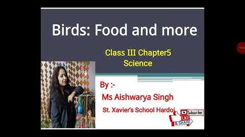 #CLASS #3 #SUBJECT #SCIENCE #CHAPTER #5 #TOPIC #BIRDS #FOOD #AND #MORE #BY #AISHWARYA #SINGH