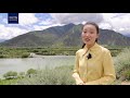 Экология Тибета под надёжной защитой!
